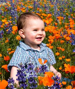 Young Boy among Wildflowers