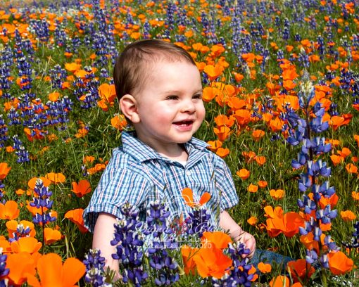 Young Boy among Wildflowers